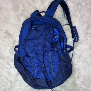 24 L Patagonia Backpack.